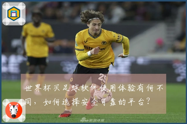 世界杯买足球软件使用体验有何不同,如何选择安全可靠的平台?