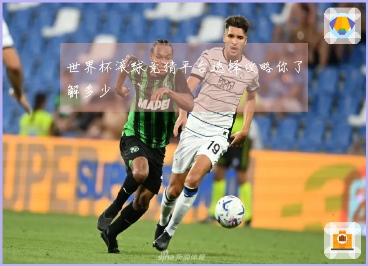 世界杯滚球竞猜平台选择攻略你了解多少