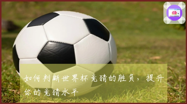 如何判断世界杯竞猜的胜负，提升你的竞猜水平