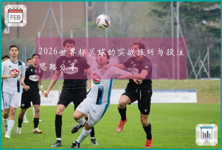 2026世界杯买球的实战技巧与投注思路分享