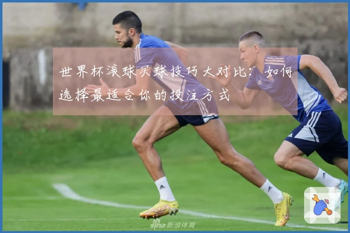 世界杯滚球买球技巧大对比：如何选择最适合你的投注方式