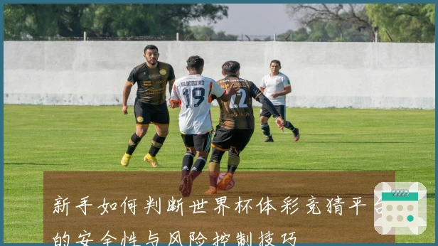 新手如何判断世界杯体彩竞猜平台的安全性与风险控制技巧