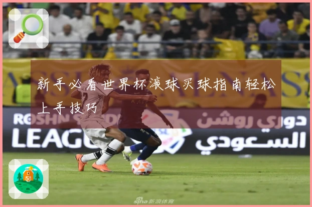 新手必看世界杯滚球买球指南轻松上手技巧