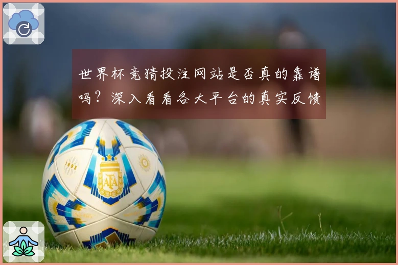 世界杯竞猜投注网站是否真的靠谱吗？深入看看各大平台的真实反馈