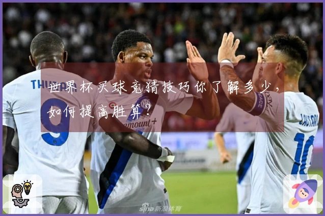 世界杯买球竞猜技巧你了解多少，如何提高胜算？