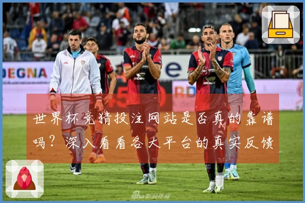世界杯竞猜投注网站是否真的靠谱吗？深入看看各大平台的真实反馈