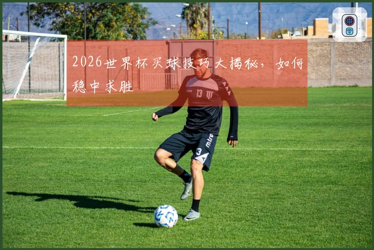 2026世界杯买球技巧大揭秘，如何稳中求胜