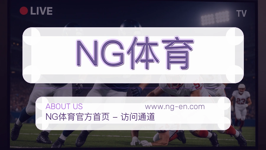 NG体育用户体验介绍